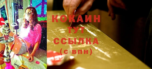 сатива Володарск