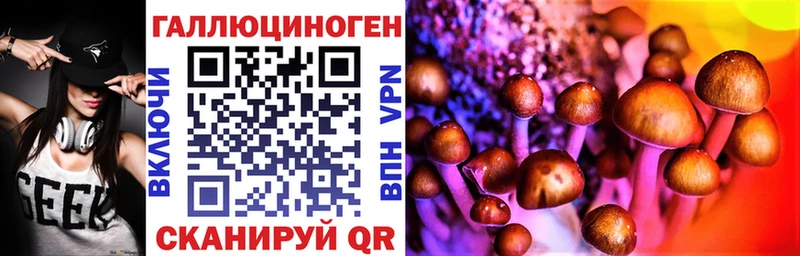 Галлюциногенные грибы Magic Shrooms  цена наркотик  МЕГА зеркало  Вышний Волочёк 